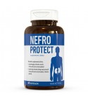 NEFRO PROTECT 60 kaps. Zdrowe nerki